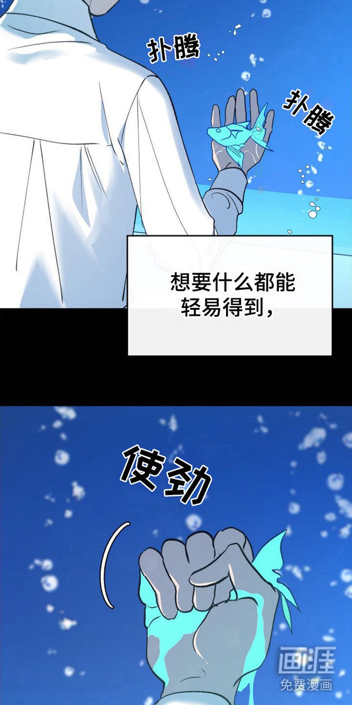 第17章：极优阿尔法