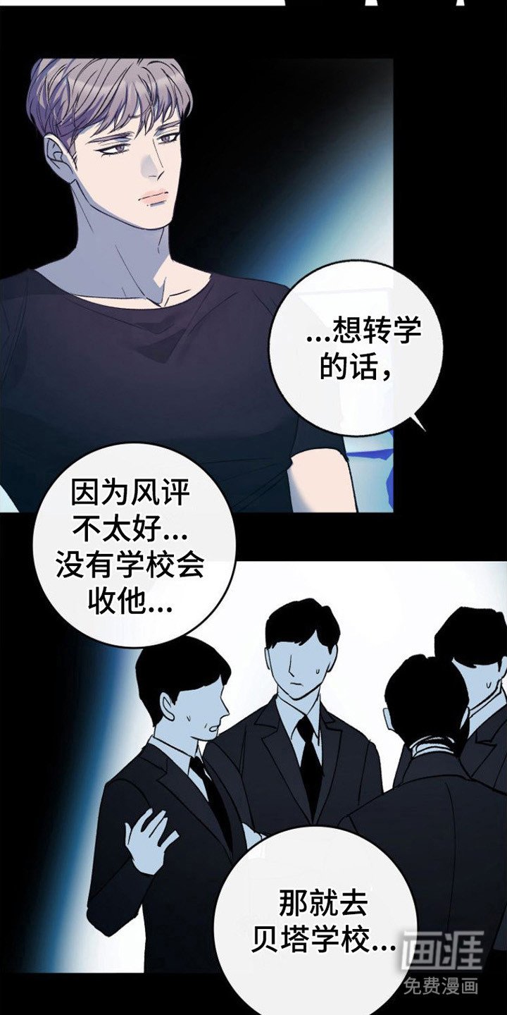 第17章：极优阿尔法