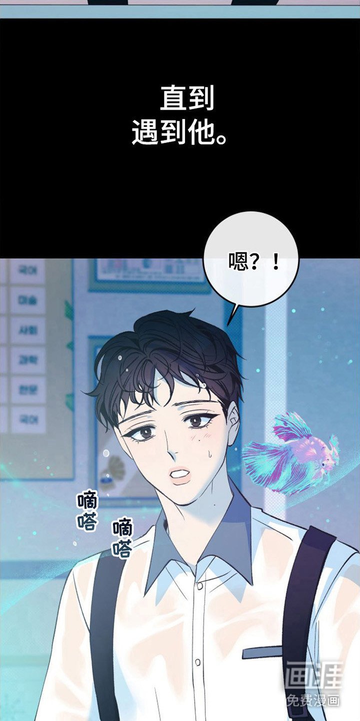 第17章：极优阿尔法