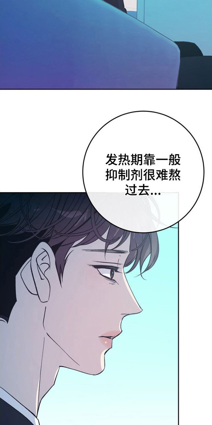 第3章：分化