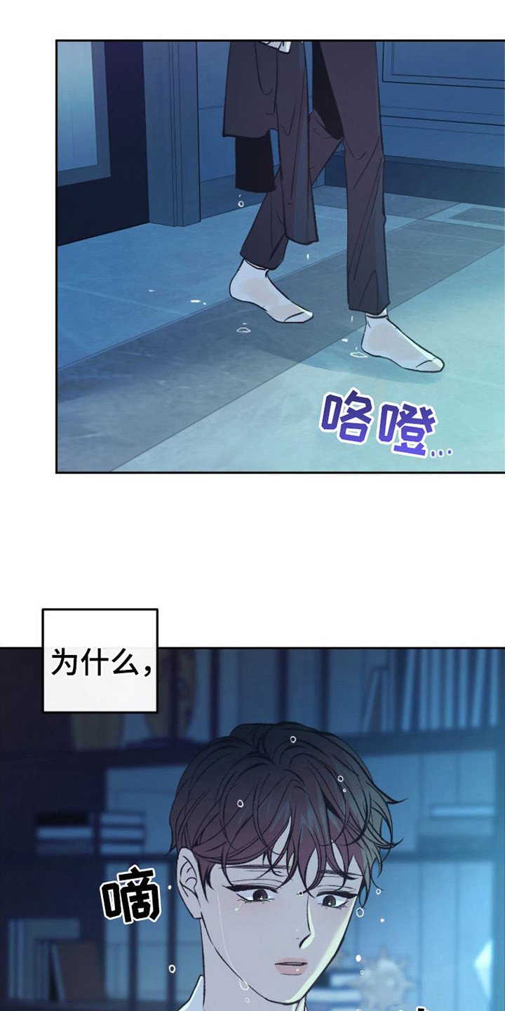 第3章：分化