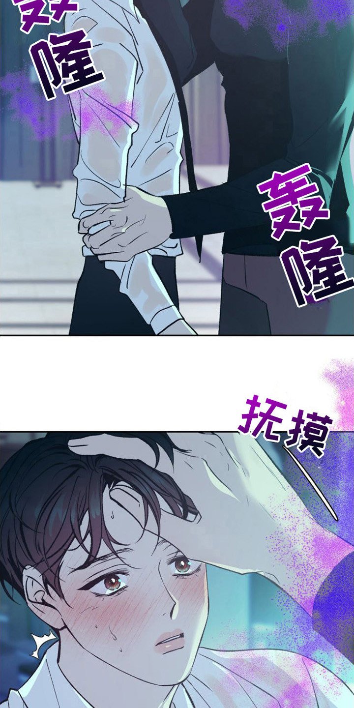 第3章：分化