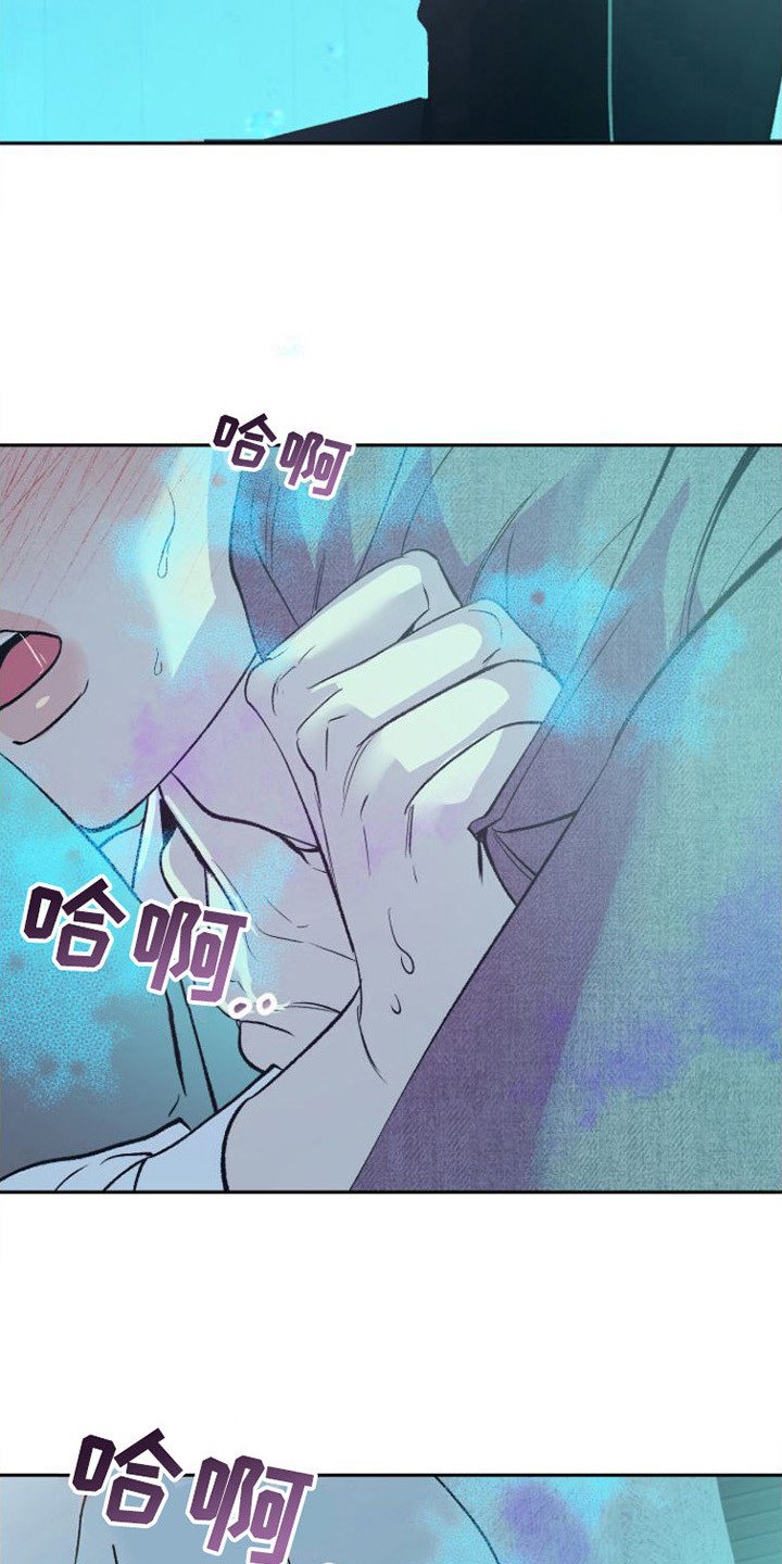 第3章：分化