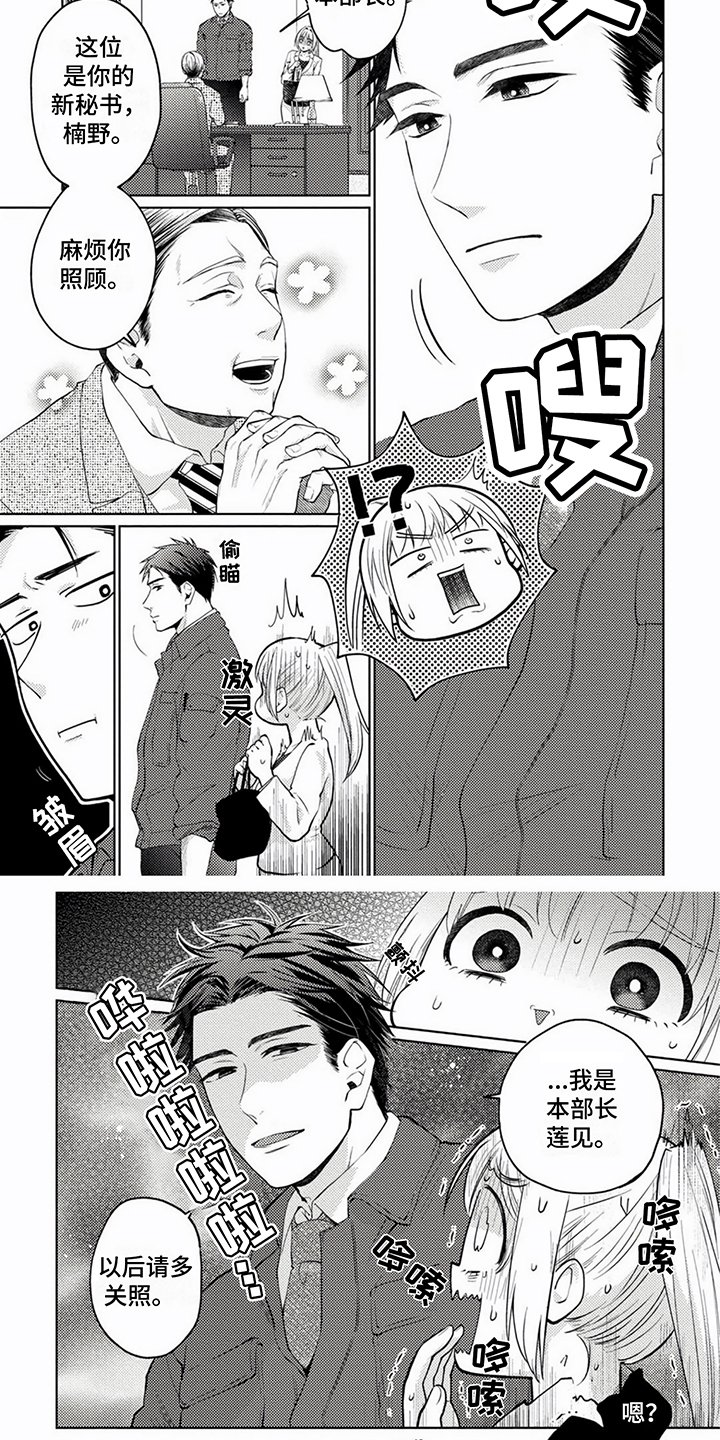第1章：间谍秘书
