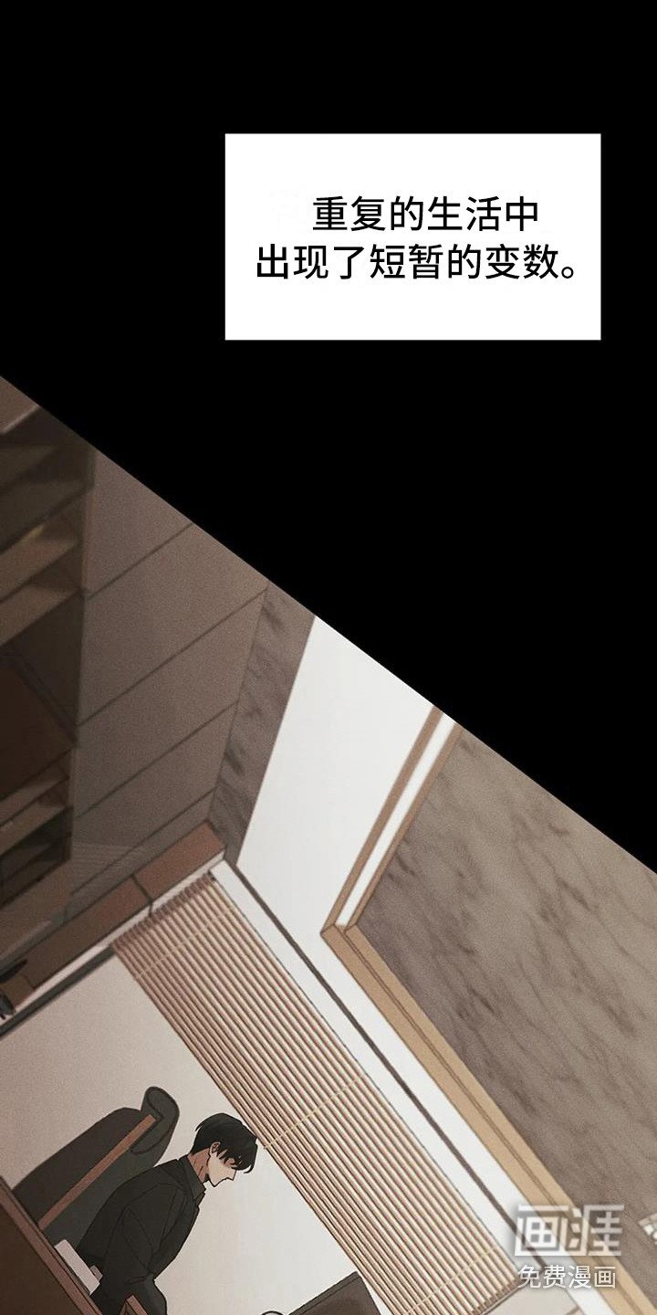 第12章：盲点：短暂的变数