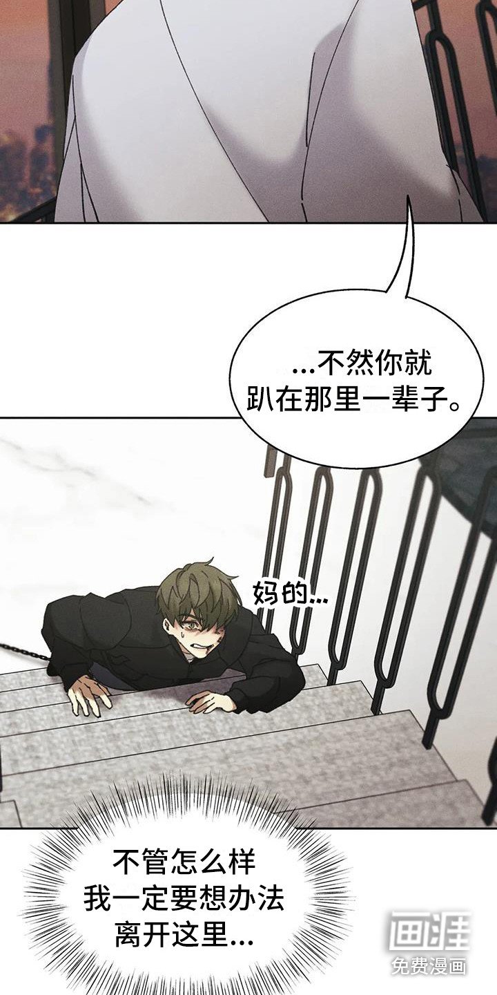 第5章：盲点：失去自由