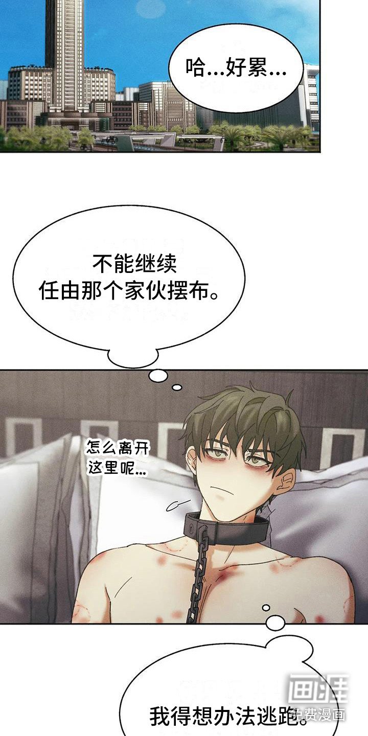 第8章：盲点：有猫腻