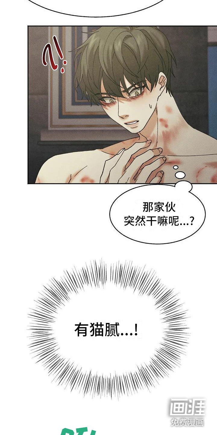 第8章：盲点：有猫腻