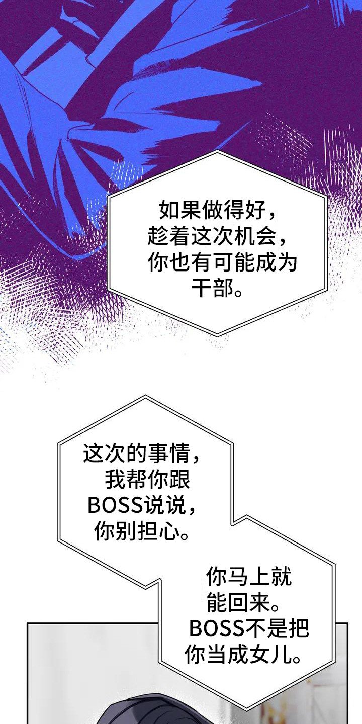 第1章：间谍：任务