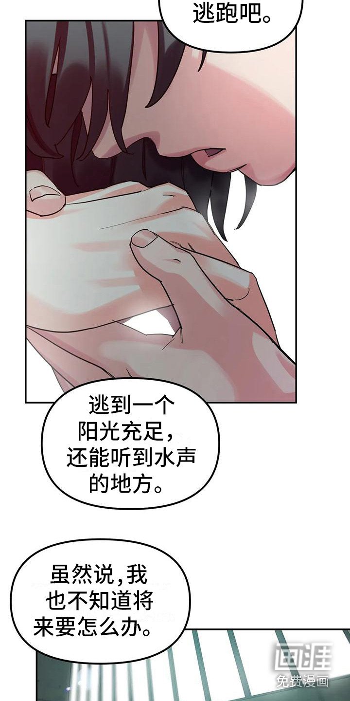 第15章：间谍：打破枷锁（完）