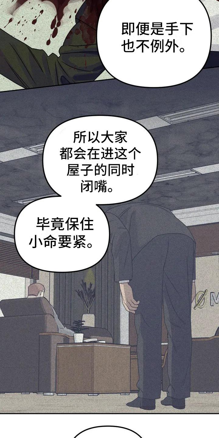 第3章：间谍：不计较