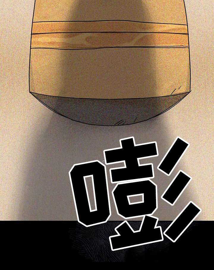 第8章：间谍：包裹