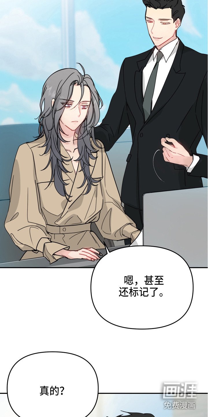 第11章：我行我素