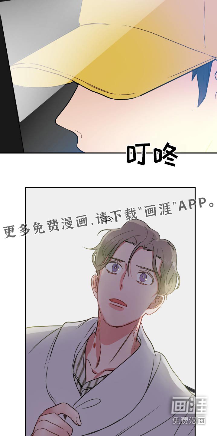第26章：点评