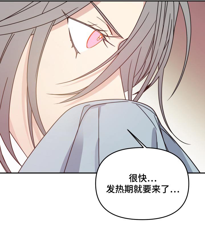 第46章：期待