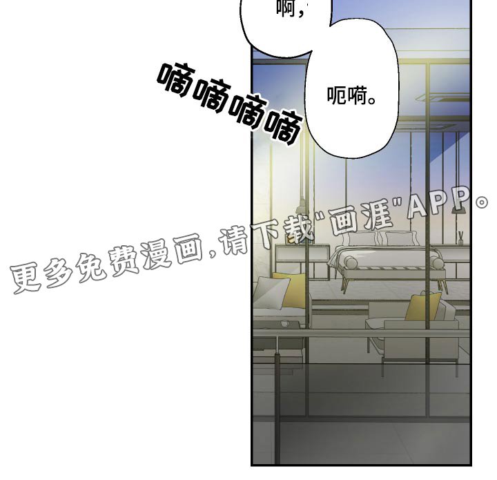 第48章：来了