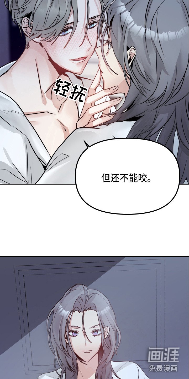 第6章：试试看