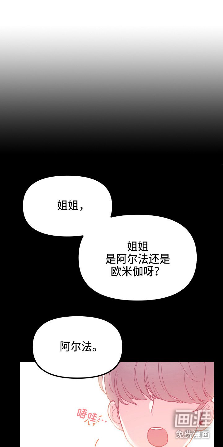 第6章：试试看
