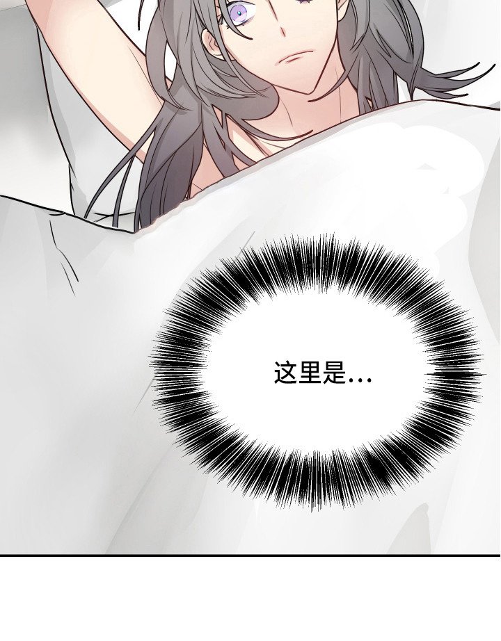 第6章：试试看