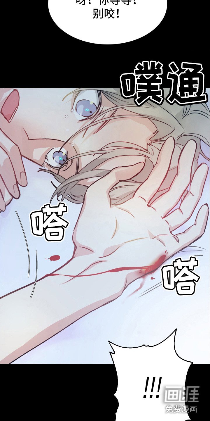 第7章：测试通过
