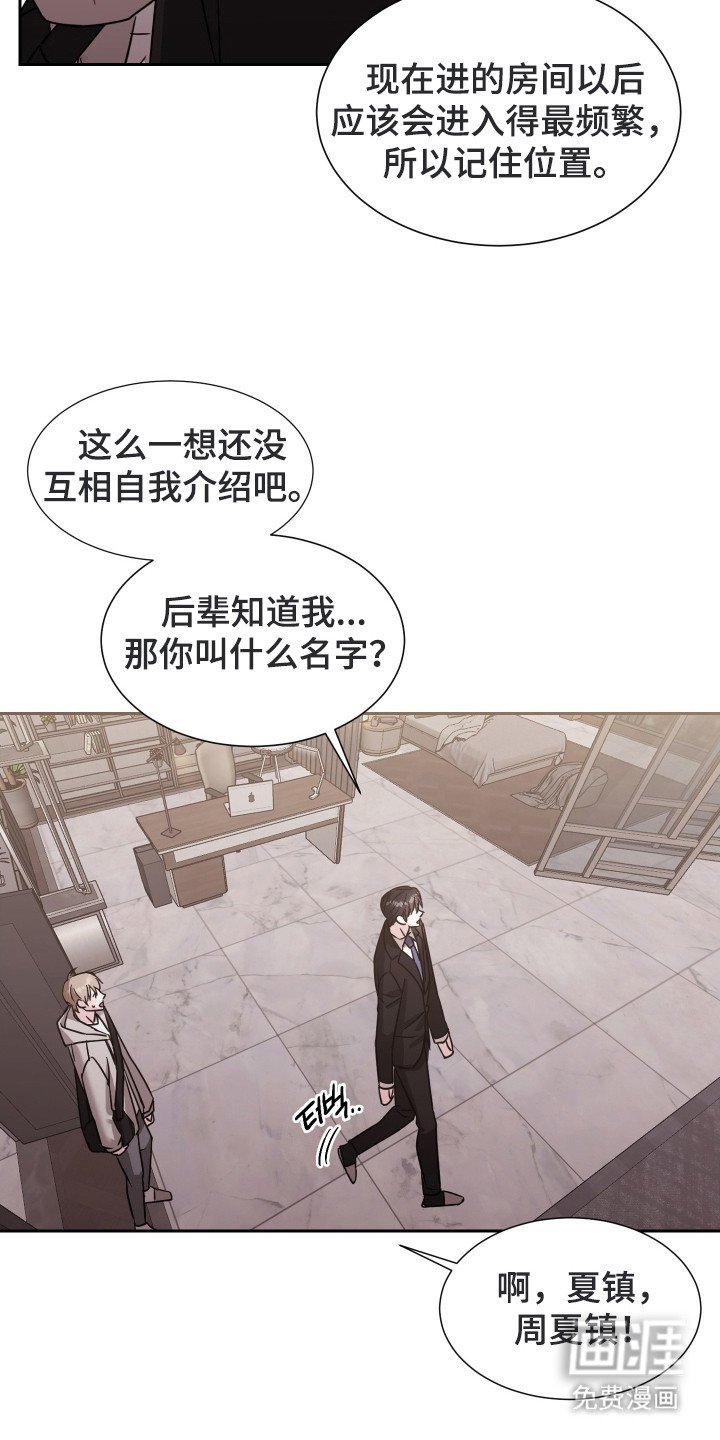第4章：条件