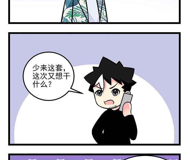 第65章：免费的午餐