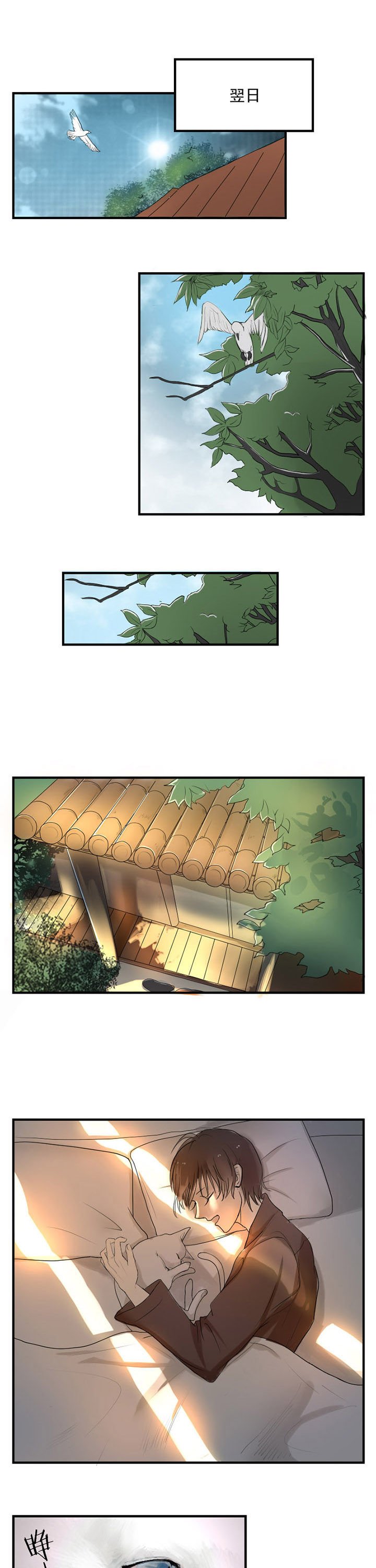 第12章：