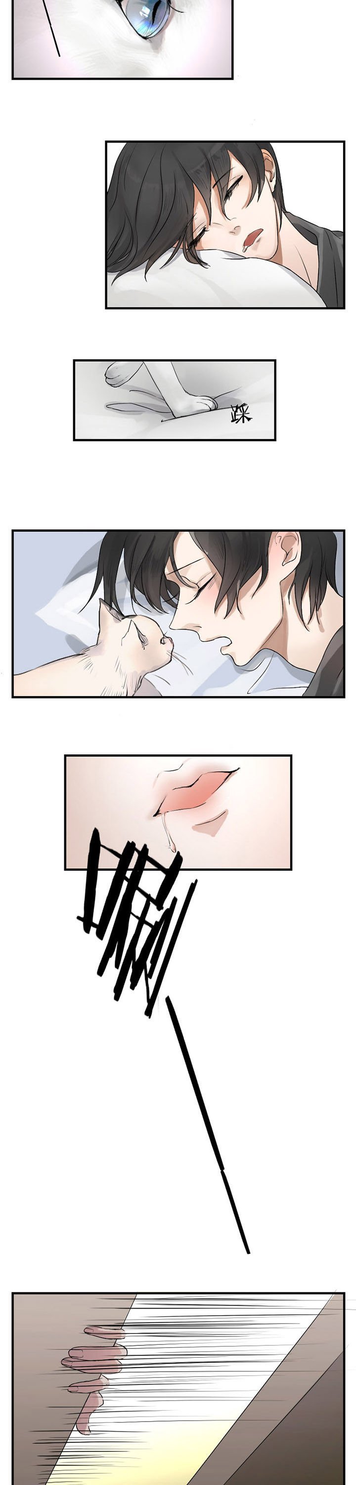 第12章：