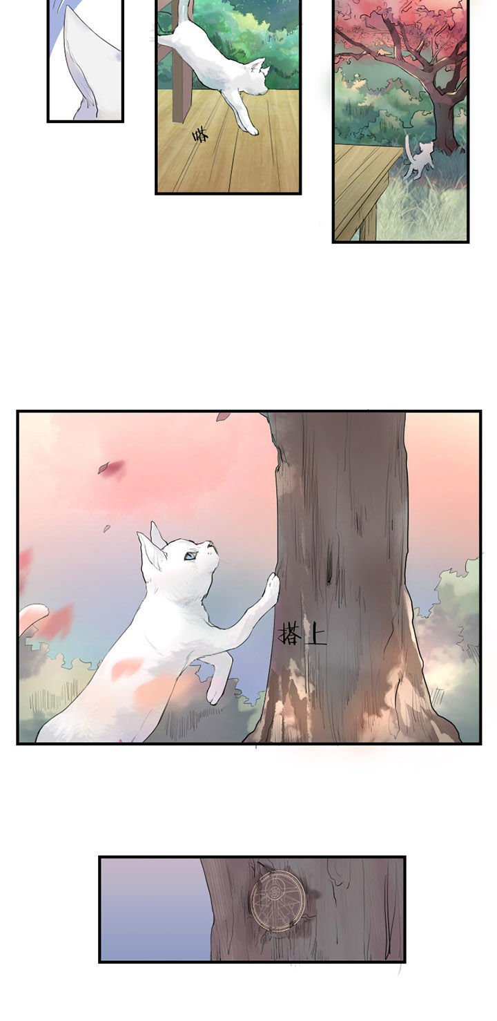 第15章：