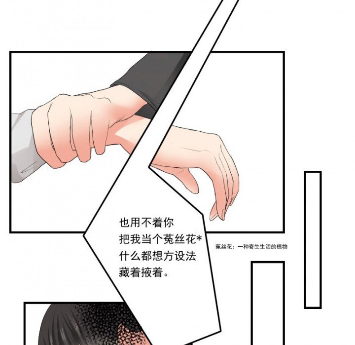第29章：