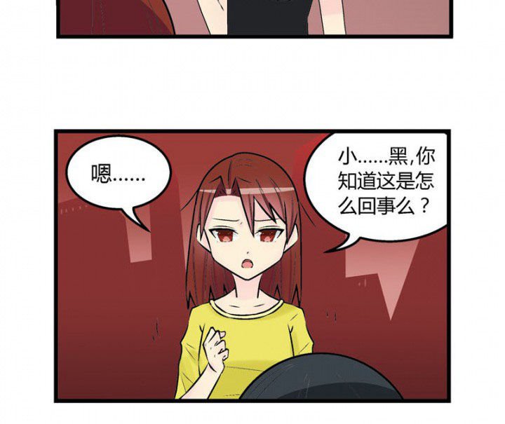 第28章：