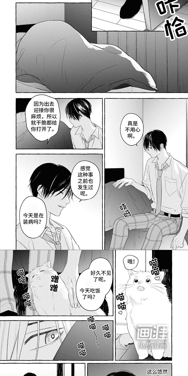 第15章：真正的恋爱