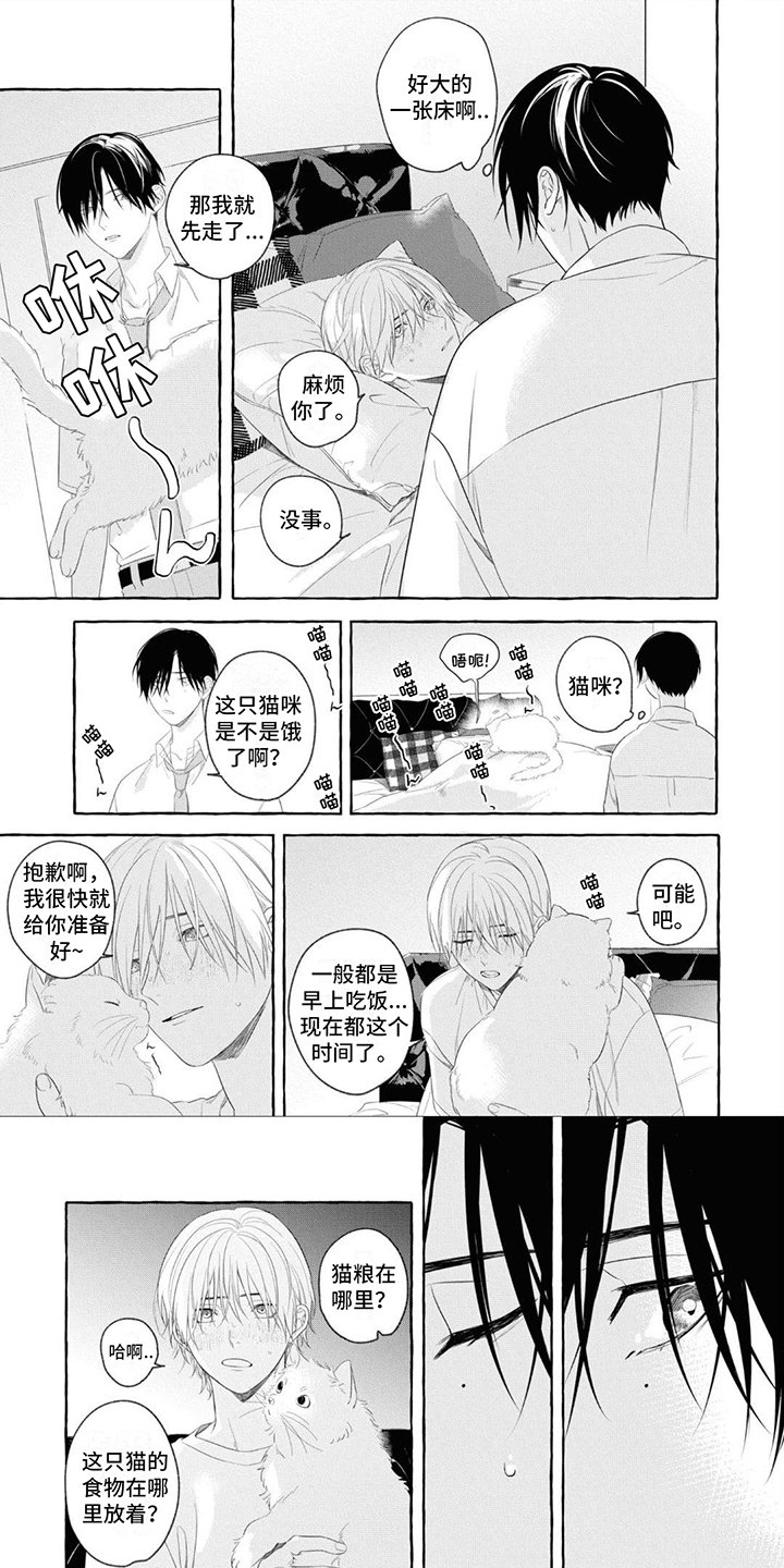 第3章：照顾