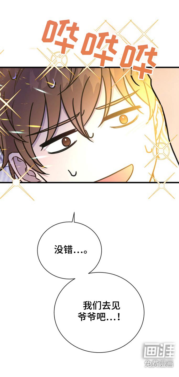 第101章：想见爷爷