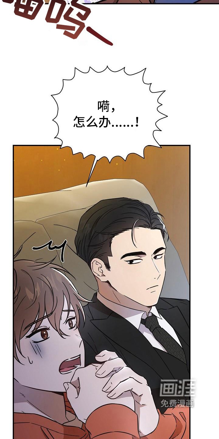 第12章：看电影