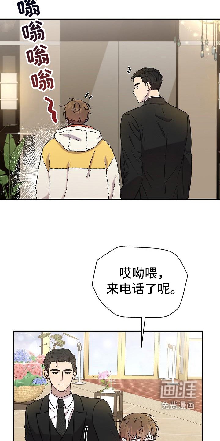 第14章：早安电话