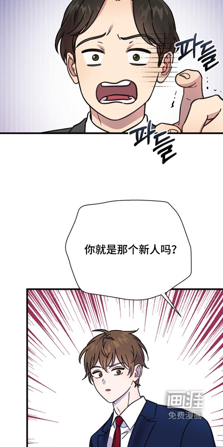 第145章：这里的会长