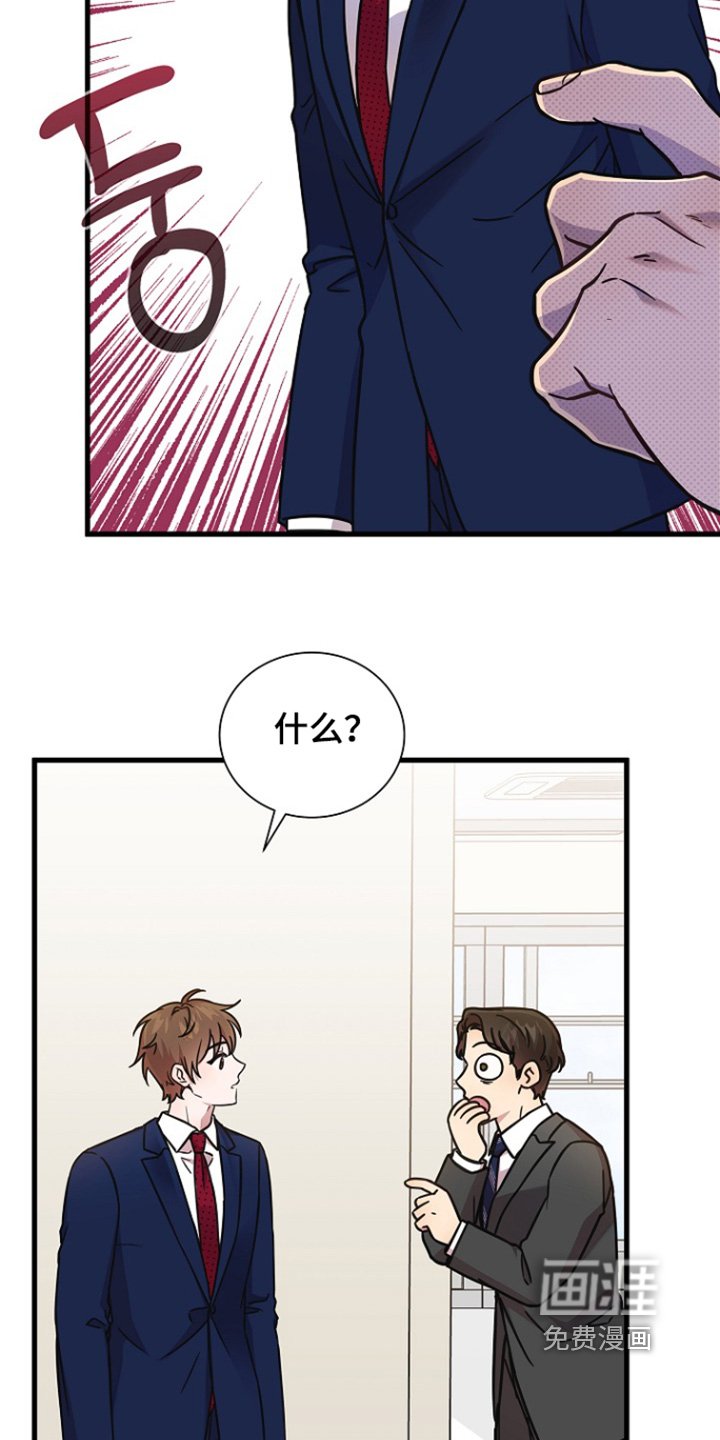 第145章：这里的会长