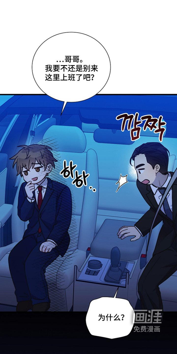 第145章：这里的会长