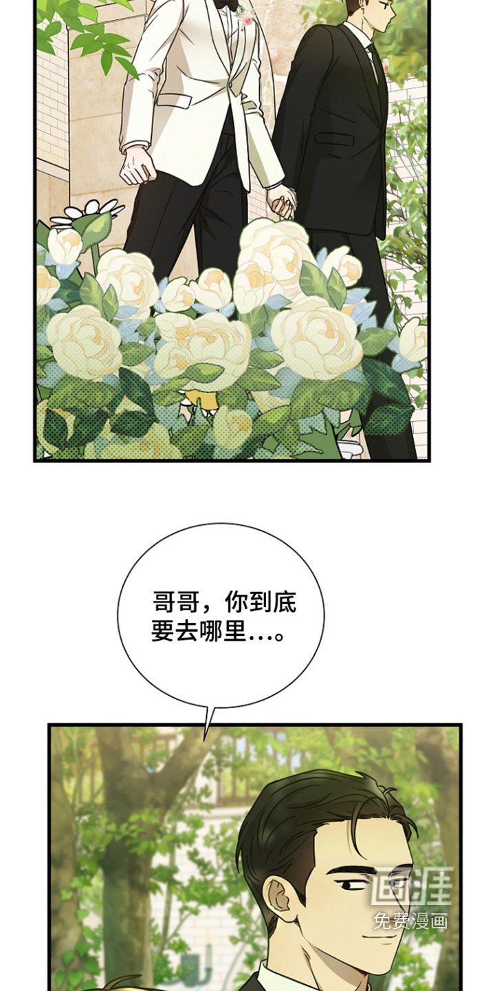 第146章：我们来结婚的