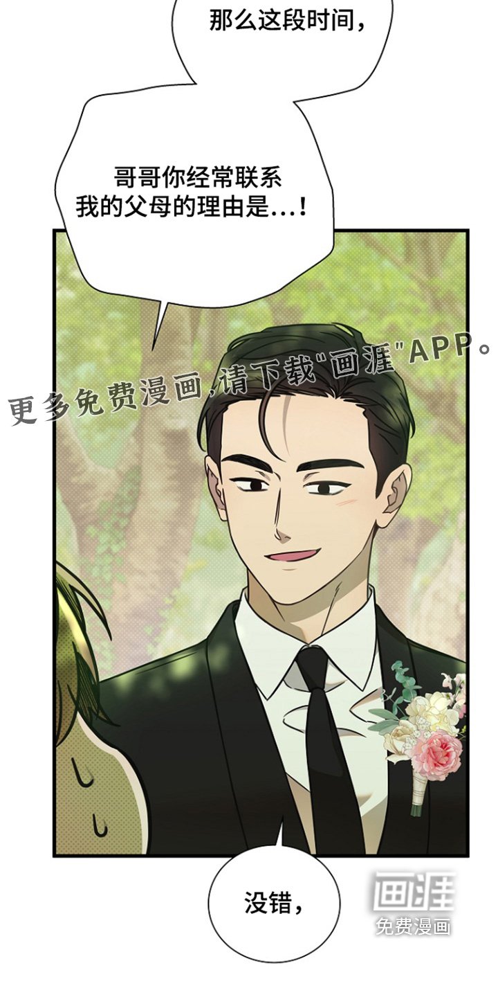 第146章：我们来结婚的