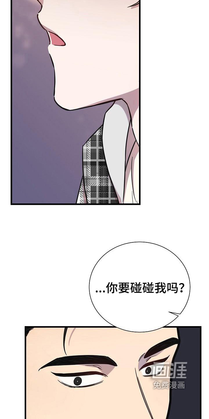 第30章：解释