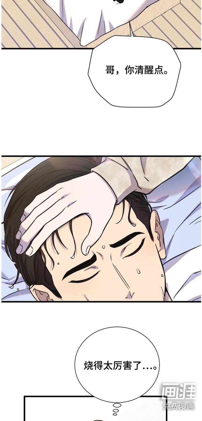 第81章：喜欢你