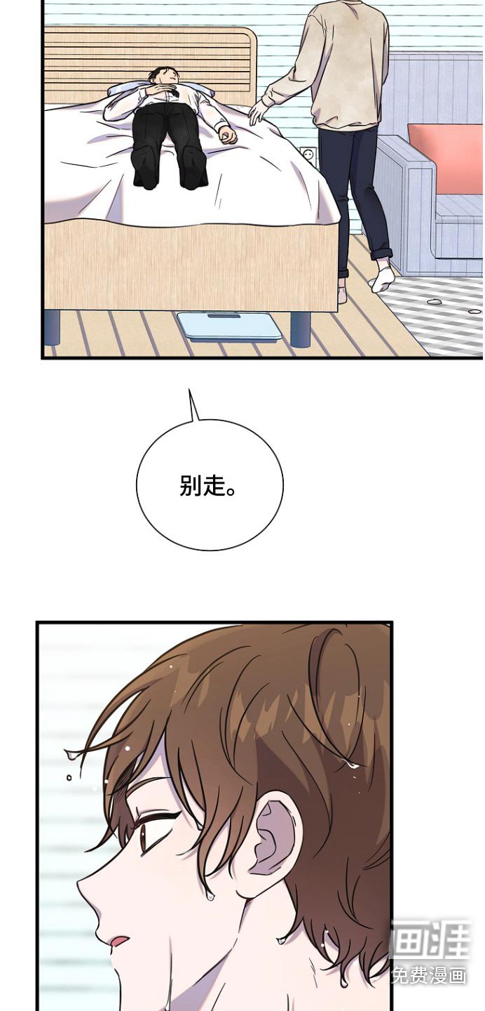 第81章：喜欢你