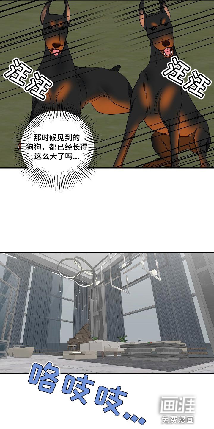 第17章：我不能放你走