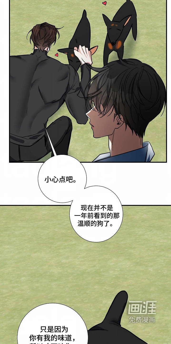 第41章：【第二季】不要越界