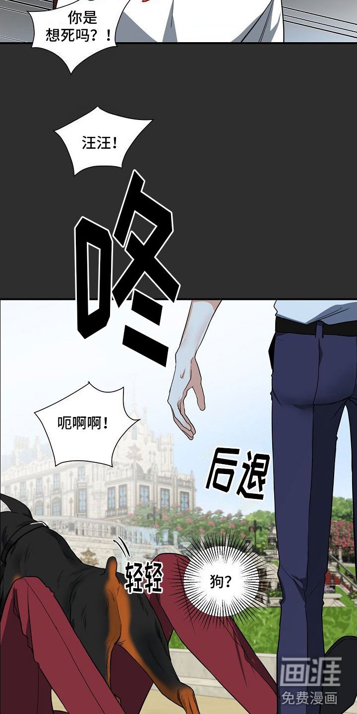 第5章：被找茬
