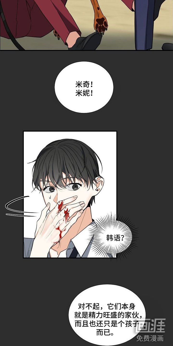 第5章：被找茬