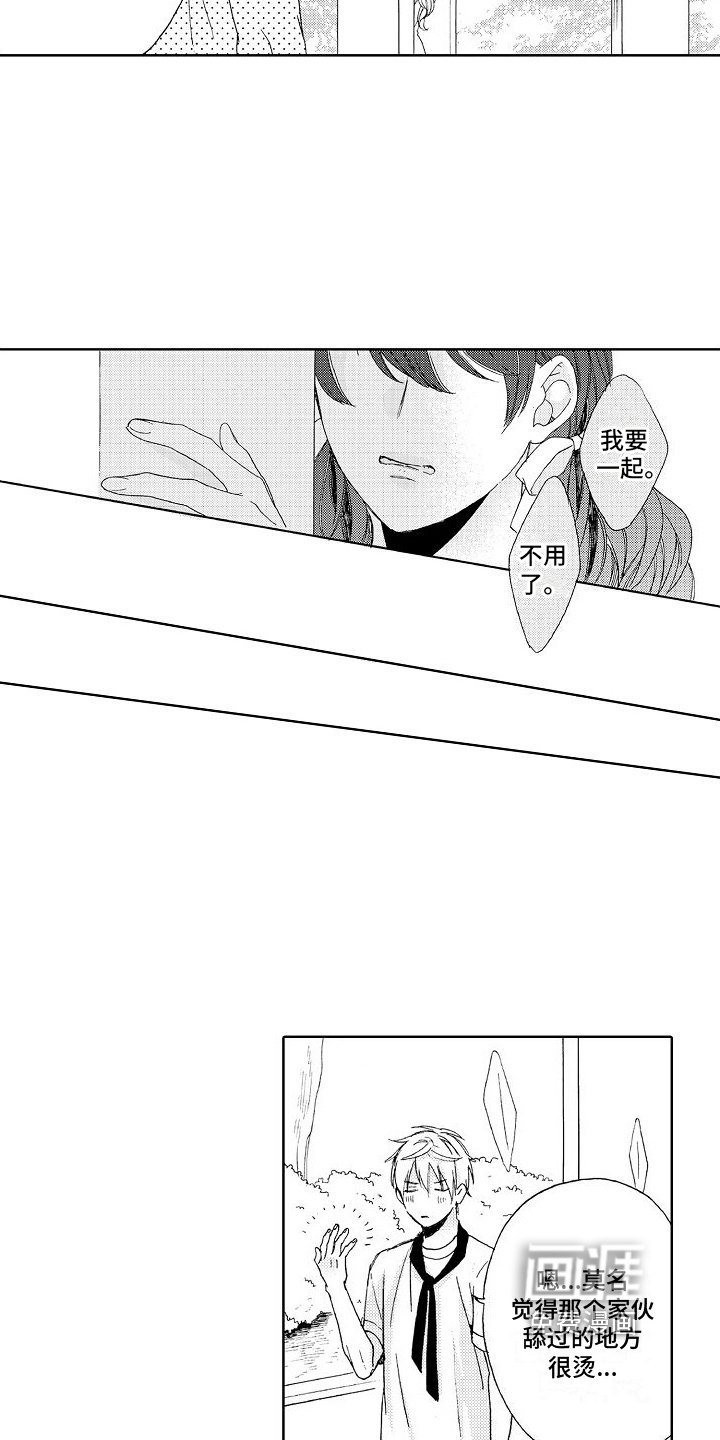 第16章：真心
