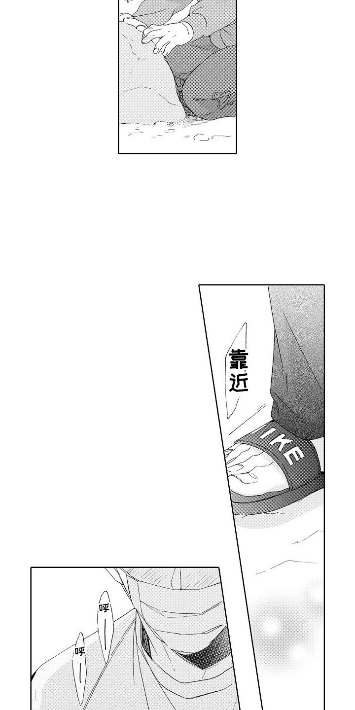 第3章：分析